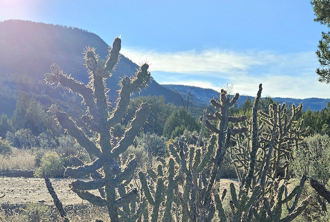 Being Vulnerable for Christ